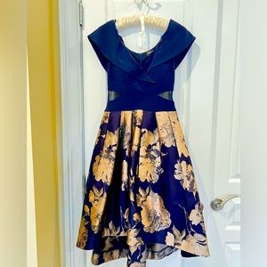 Gorgeous Princess Dress. Hi- Lo hem & sheer waist